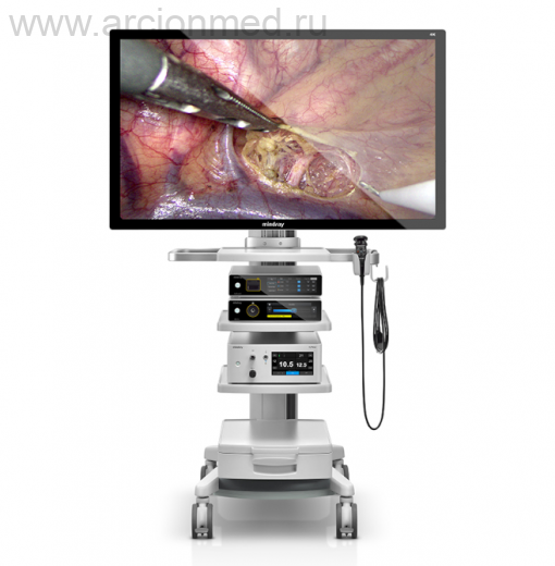 Монитор LCD 31″ (S3180P) (Beacon) для Mindray HyPixel U1