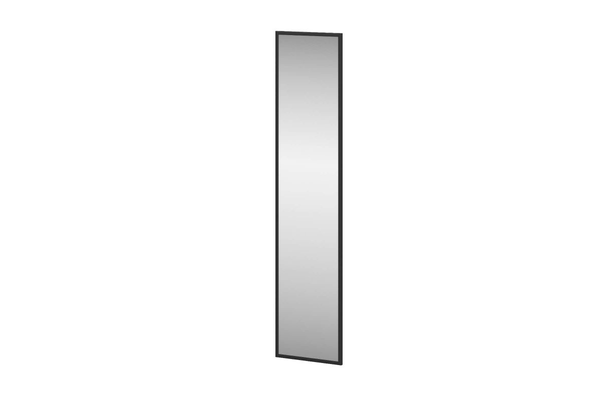 Створка зеркальная СЗ 2236х496