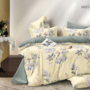 КПБ AP-170 - Поплин Valtery