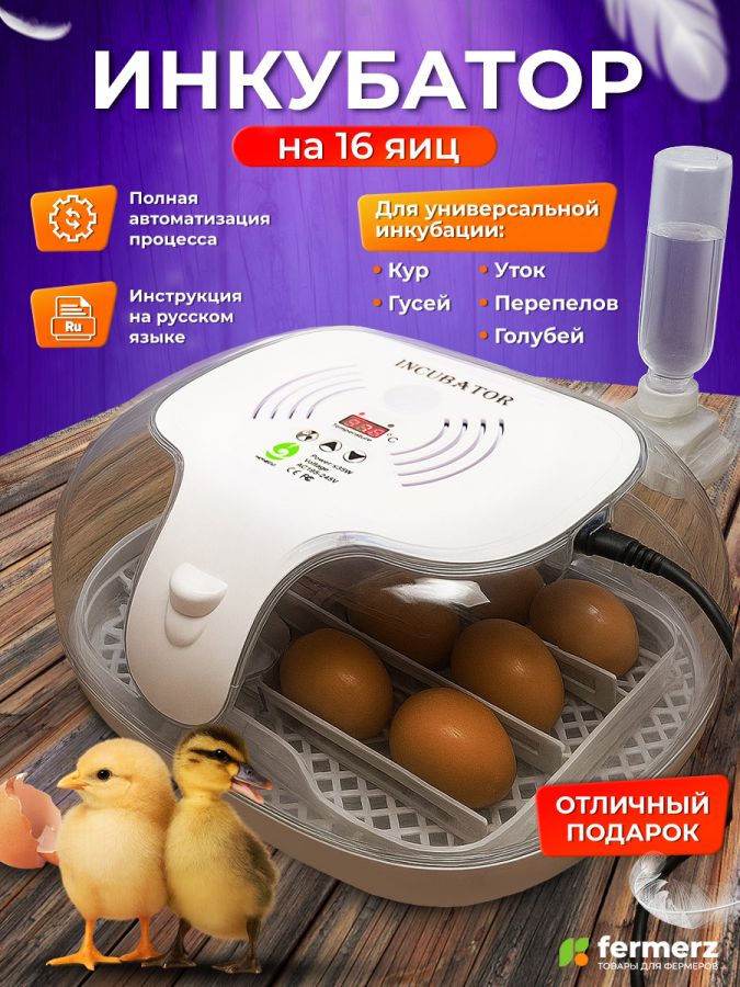 Инкубатор HHD автоматический на 16 яиц с овоскопом
