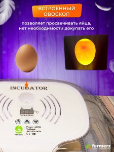 Инкубатор HHD автоматический на 16 яиц с овоскопом