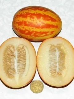 Дыня ВЬЕТНАМСКАЯ