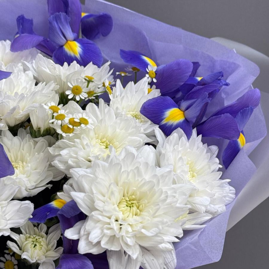 Ирисы и хризантема