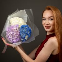 Гортензия 3 шт