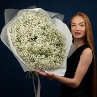 15 белых гипсофил