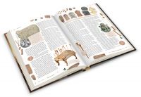 Мир фантастики. Спецвыпуск «Древние настольные игры»