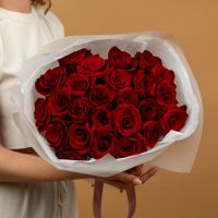 25 красная роза (60см эксплорер)