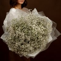 Гипсофила белая 25 шт
