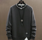 Толстовка мужская 50039