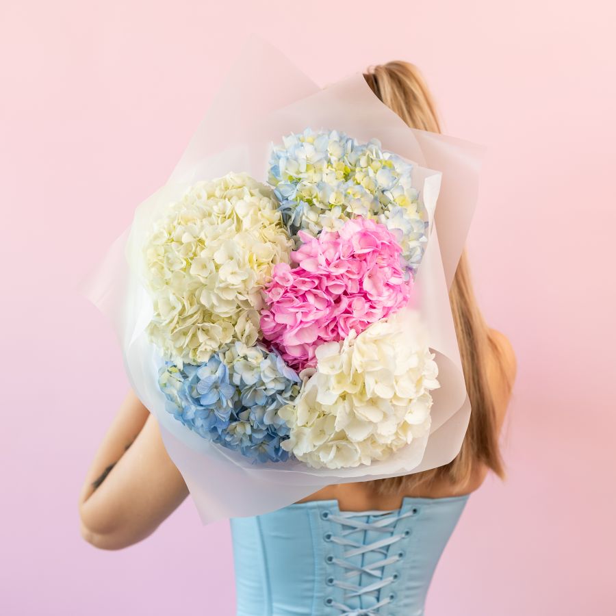 Гортензия 5 шт