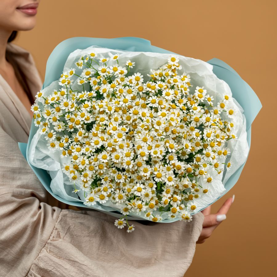 Матрикария 15 шт