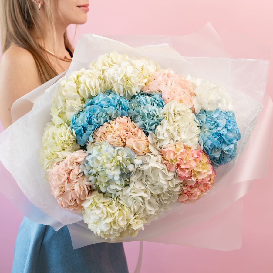 Гортензия 15 шт