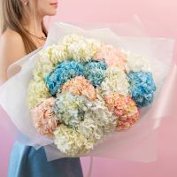 Гортензия 15 шт