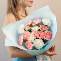 Диантусы микс от 15 шт