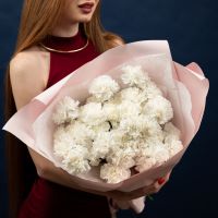 35 белых диантусов