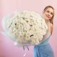 Хризантема (сорт Алтай) от 5 шт