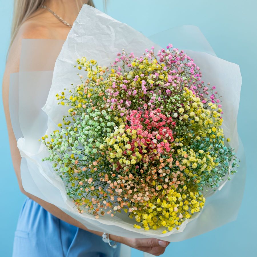 Гипсофила микс от 7 шт