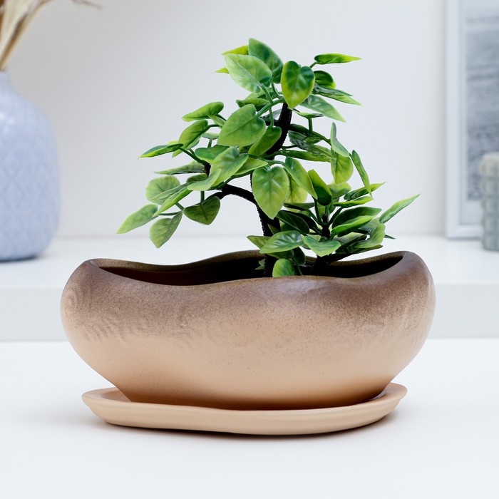 Горшок для кактусов и суккулентов «Бонсай», 600 мл, 17?14?8 см, керамический, с поддоном, бежевый