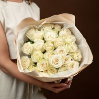 Белые розы от 7 шт (Эквадор 60см)