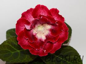 ЕН-Краля (сел.Е.Николаева) Новинка 2025!