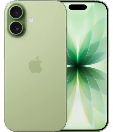 Apple iPhone 17 512Gb Sage (eSim)