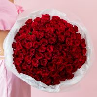 101 красная роза в упаковке (50см, Кения)