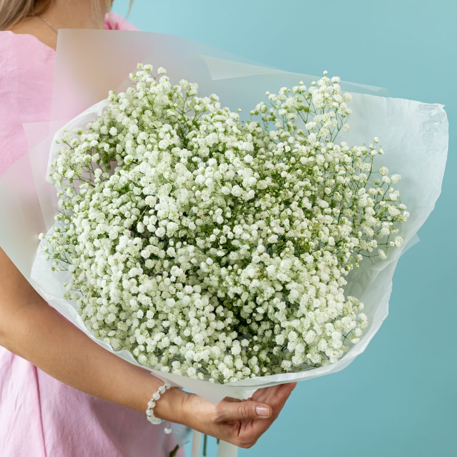 Гипсофила белая 7 шт