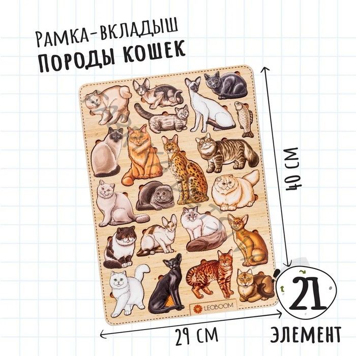 Рамка - вкладыши «Породы кошек», 21 деталь