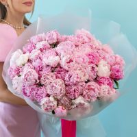 51 пион в упаковке