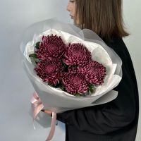 Хит осени! Хризантема бигуди 5 шт