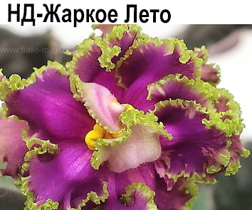 НД-Жаркое Лето (Данилова-Суворова)  НОВИНКА