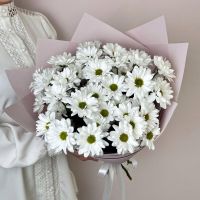 Привет, Ромашки!