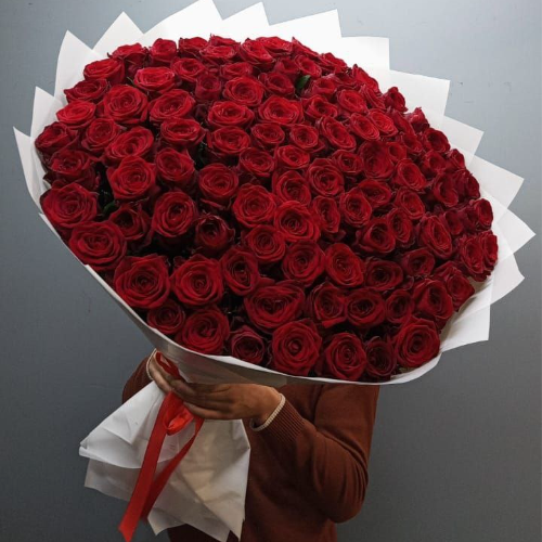 101 красная роза (70см)