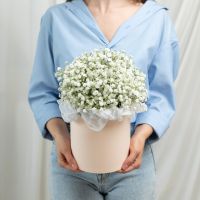 Шляпная коробка S гипсофила белая