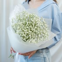 5 белых гипсофил