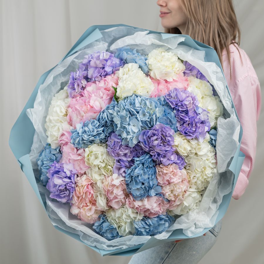 35 гортензий микс