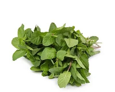 Мята, кг