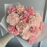 Нежные диантусы 15 шт