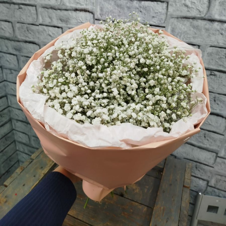 Моно из гипсофилы