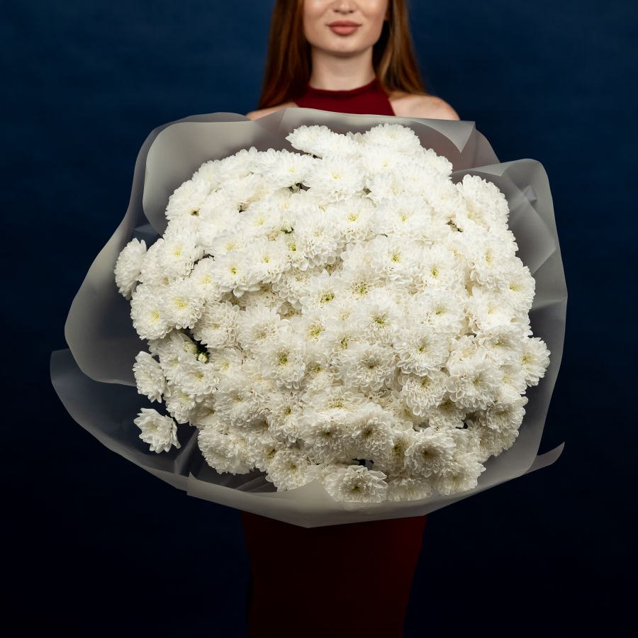 Хризантема (сорт Алтай) 25 шт