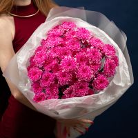 9 ярко-розовых хризантем