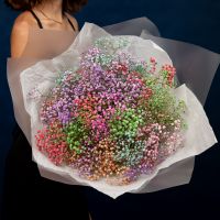 15 радужных гипсофил