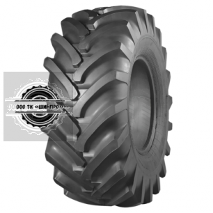 21,3-24 16PR 160A8 ИЯВ-79 TTF БЕЛАРУСЬ Belshina