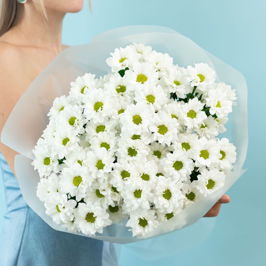 Хризантема (сорт Бакарди) от 5 шт