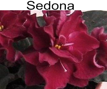 Sedona (K. Stork)