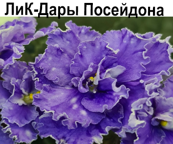 ЛиК-Дары Посейдона (Г.В.Лазаренко)