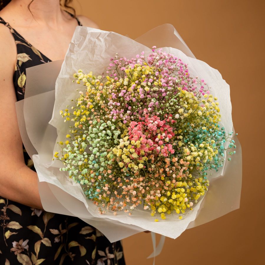 Гипсофила радужная от 7 шт