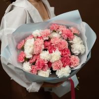 Белые и розовые диантусы от 15 шт