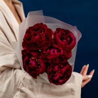 5 пионы красные