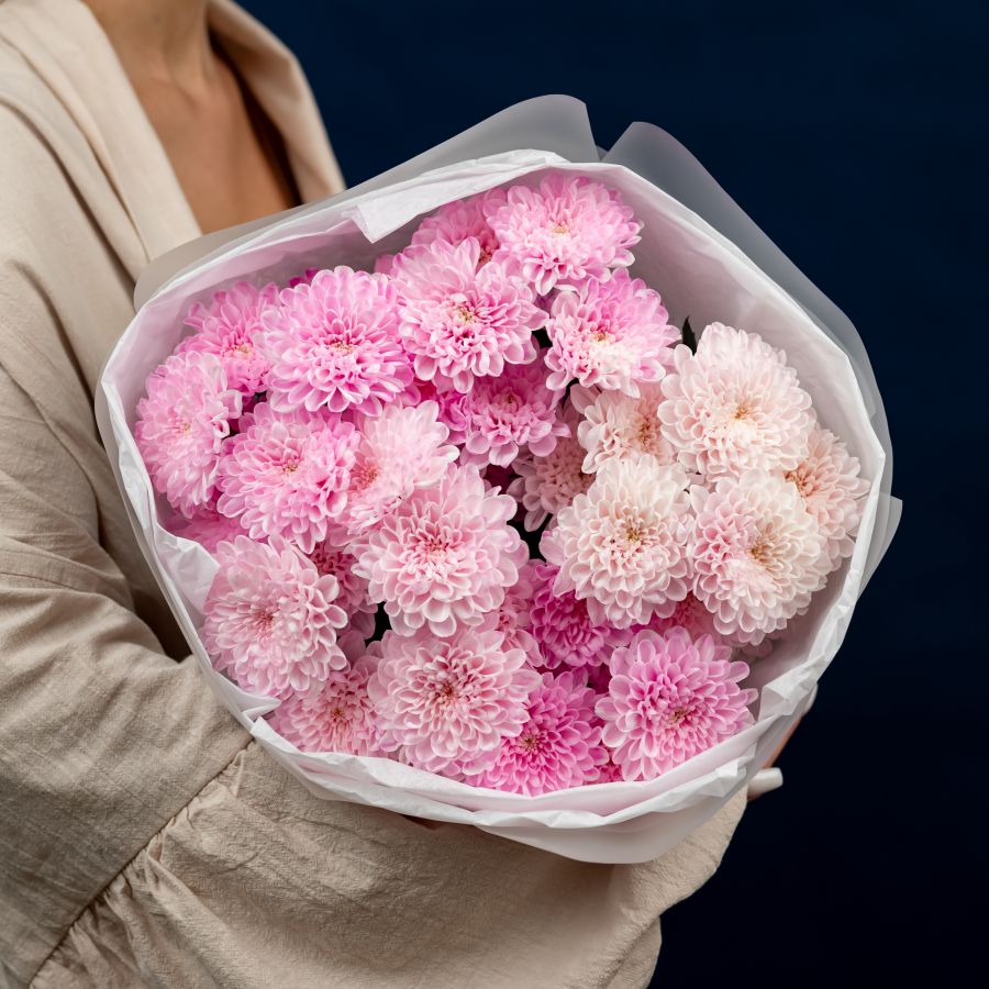 Хризантема 5 шт (Розовая нежная)